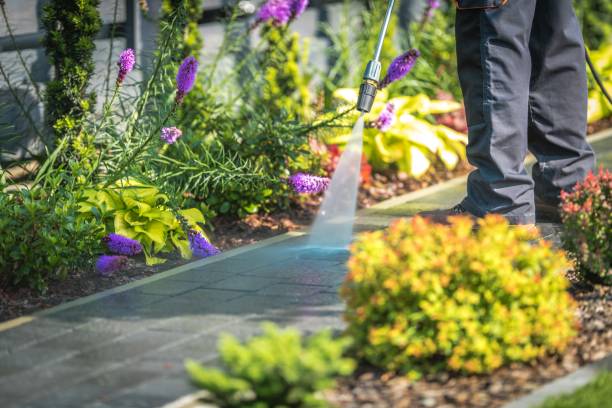 Best Winterizing Services  in North Lakeport, CA