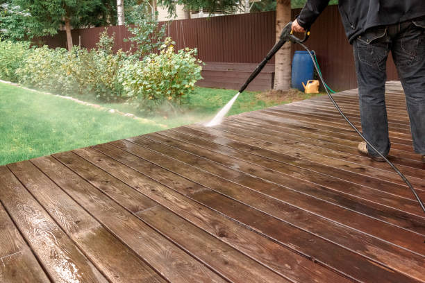 Best Roof Washing  in North Lakeport, CA