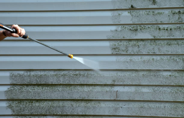 Best Solar Panel Cleaning  in North Lakeport, CA